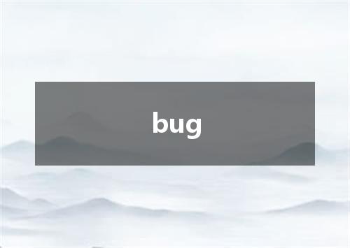 bug是什么意思