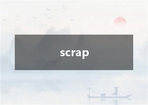 scrap是什么意思