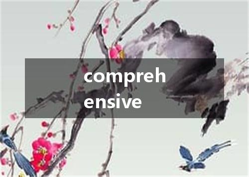 comprehensive是什么意思