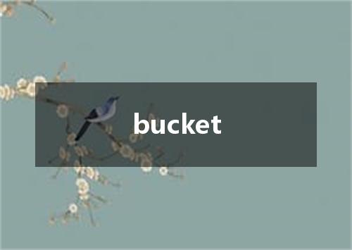 bucket是什么意思