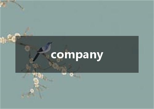 company是什么意思