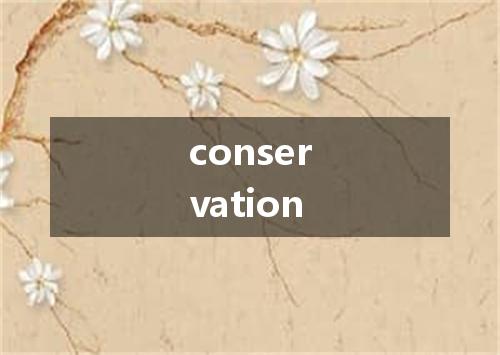 conservation是什么意思