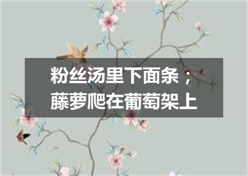 粉丝汤里下面条；藤萝爬在葡萄架上