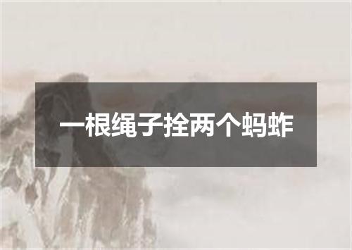 一根绳子拴两个蚂蚱