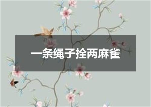 一条绳子拴两麻雀