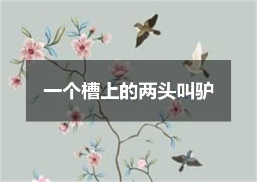 一个槽上的两头叫驴