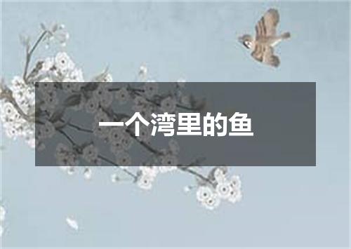 一个湾里的鱼