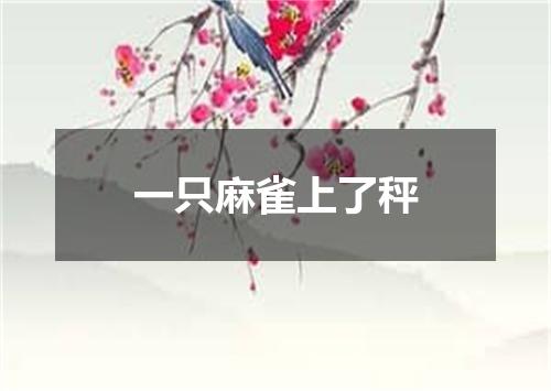 一只麻雀上了秤