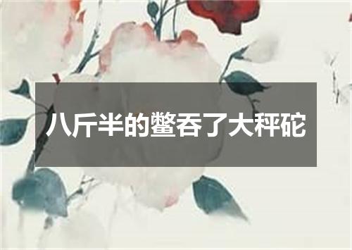 八斤半的鳖吞了大秤砣