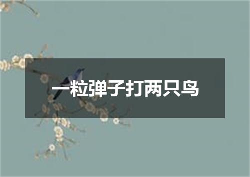 一粒弹子打两只鸟