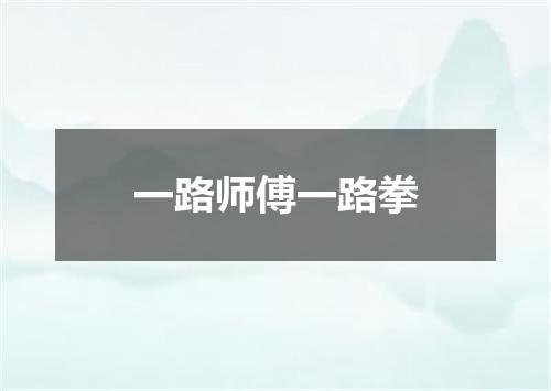一路师傅一路拳