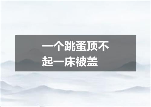 一个跳蚤顶不起一床被盖