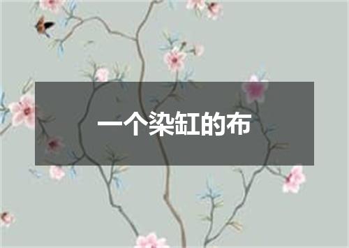 一个染缸的布