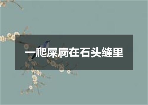 一爬屎屙在石头缝里