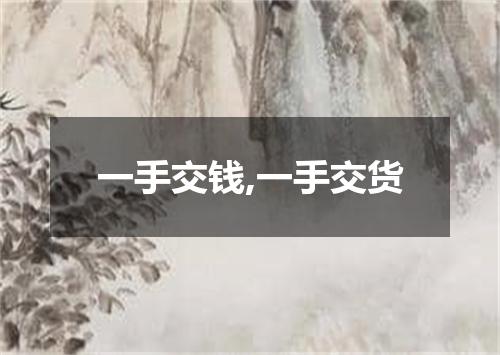 一手交钱,一手交货