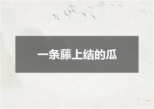 一条藤上结的瓜