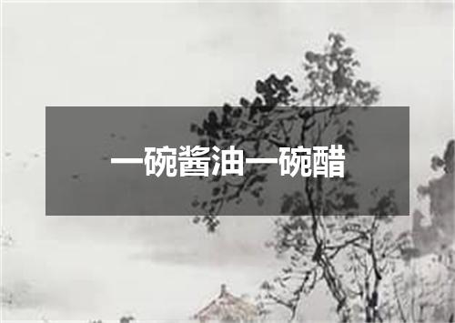 一碗酱油一碗醋