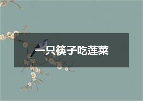 一只筷子吃莲菜