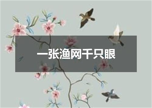 一张渔网千只眼