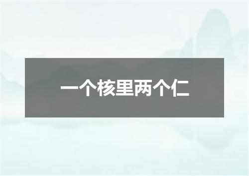 一个核里两个仁