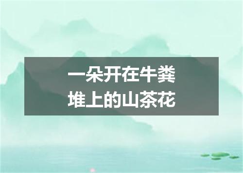 一朵开在牛粪堆上的山茶花