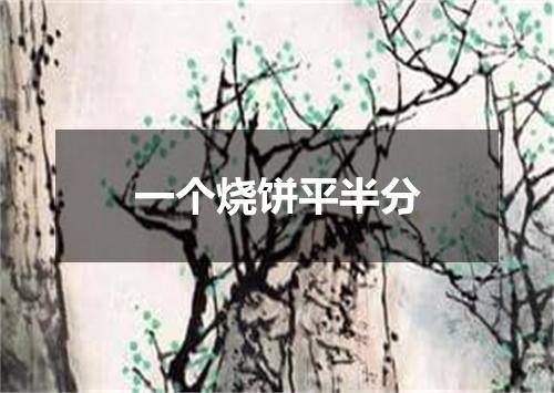 一个烧饼平半分