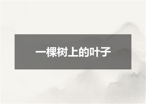 一棵树上的叶子