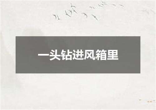 一头钻进风箱里