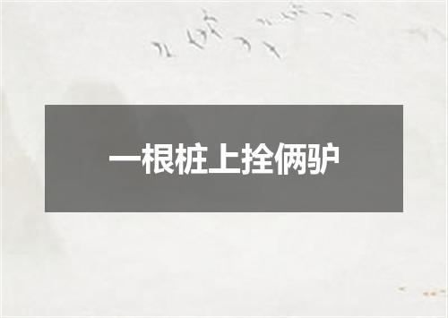 一根桩上拴俩驴