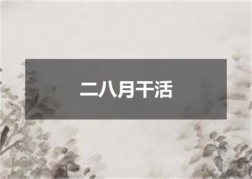 二八月干活