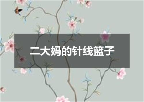 二大妈的针线篮子