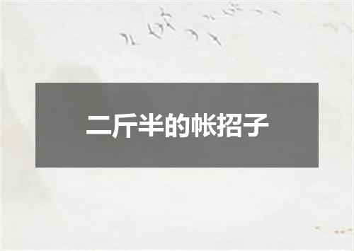 二斤半的帐招子