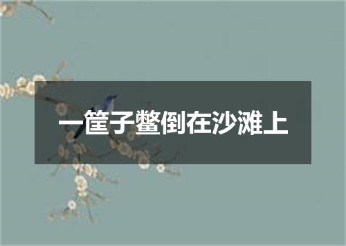 一筐子鳖倒在沙滩上