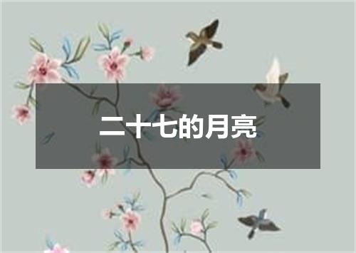 二十七的月亮