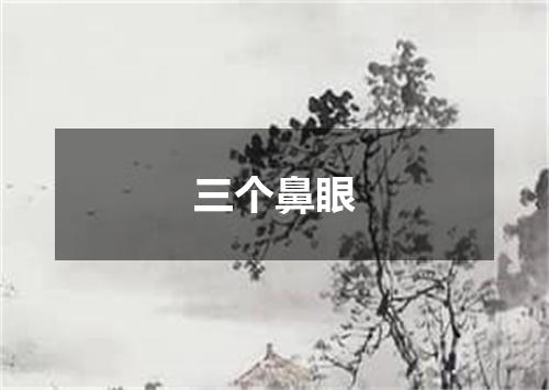 三个鼻眼