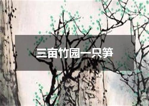 三亩竹园一只笋