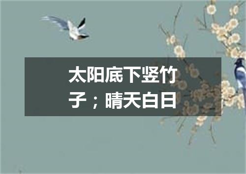 太阳底下竖竹子；晴天白日