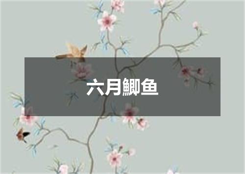 六月鯽鱼