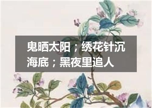 鬼晒太阳；绣花针沉海底；黑夜里追人