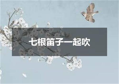 七根笛子一起吹