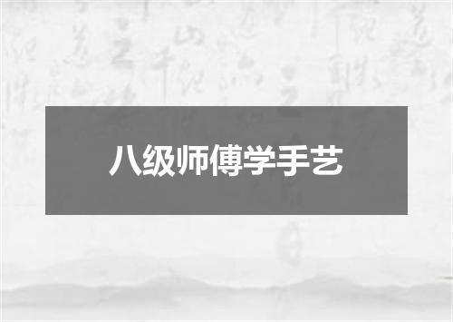 八级师傅学手艺