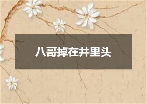 八哥掉在井里头