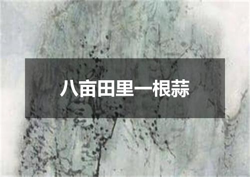 八亩田里一根蒜