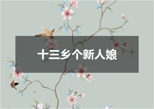 十三乡个新人娘