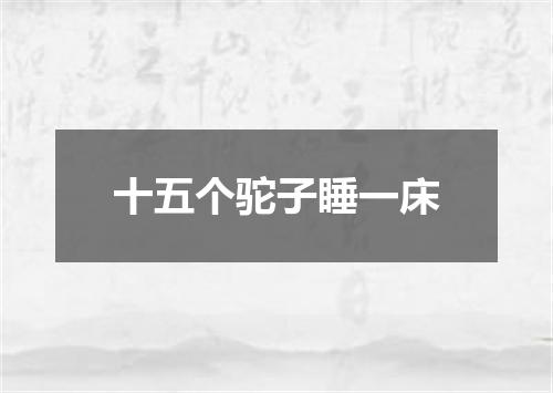 十五个驼子睡一床