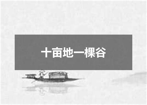 十亩地一棵谷