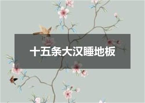 十五条大汉睡地板