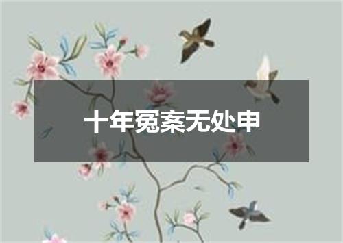 十年冤案无处申