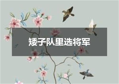矮子队里选将军