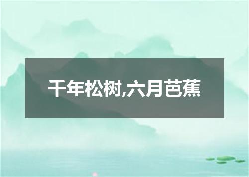 千年松树,六月芭蕉